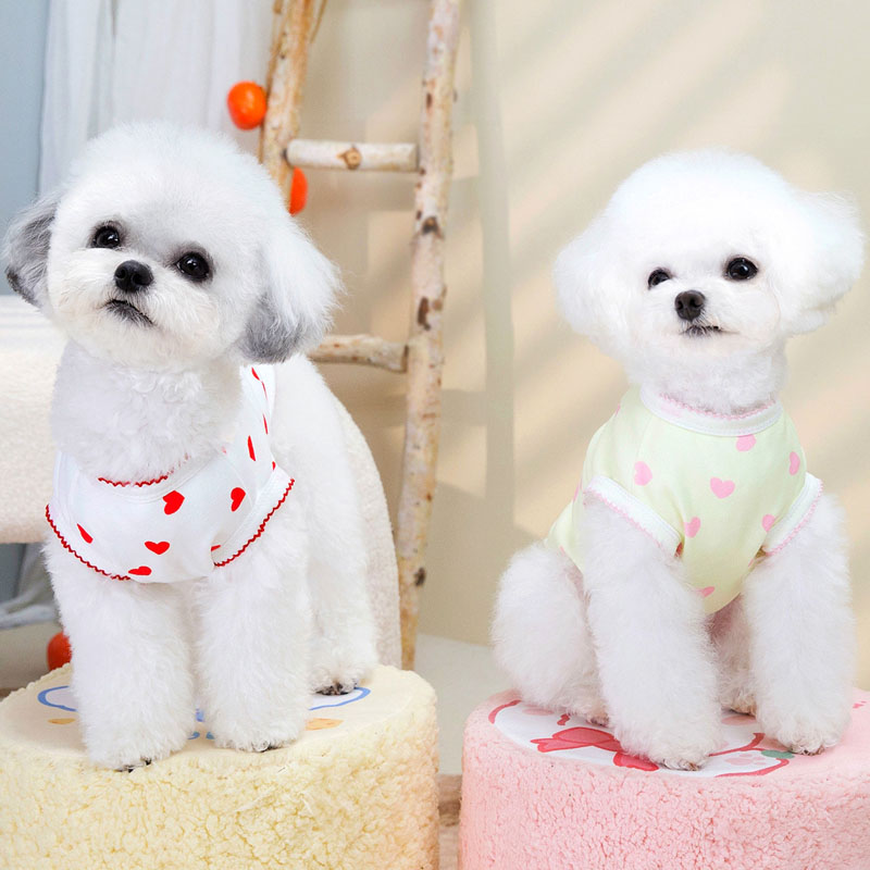 Yellow Red Dog Clothes Short S - Xl Summer Clothing avis et prix