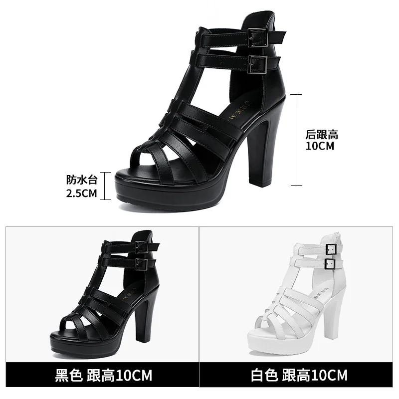 Gladiator Ladies Shoe for Wome - Summer Clothing Sale Women avis et prix