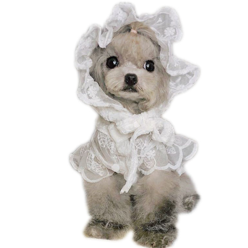 White Lace Princess Dog Weedin - Xl Summer Clothing avis et prix